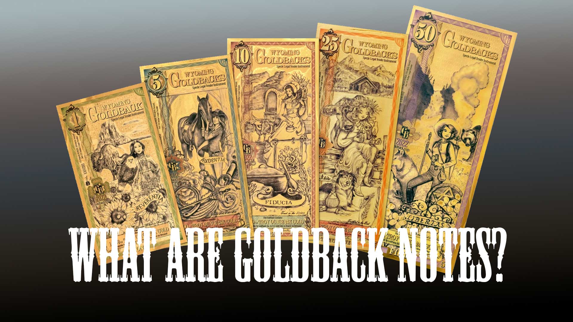 Understanding Goldback Notes